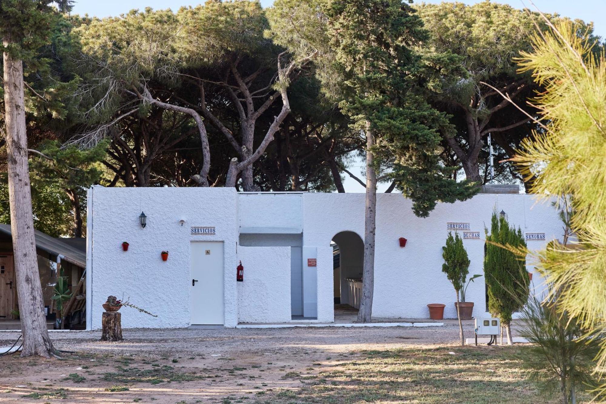 Taiga Conil Hotell Conil De La Frontera Rum bild